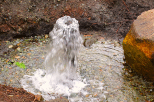 água de poço cnt ambiental canvapro performer digital